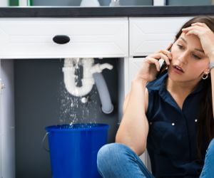 About Plumbers Pros Peck, MI